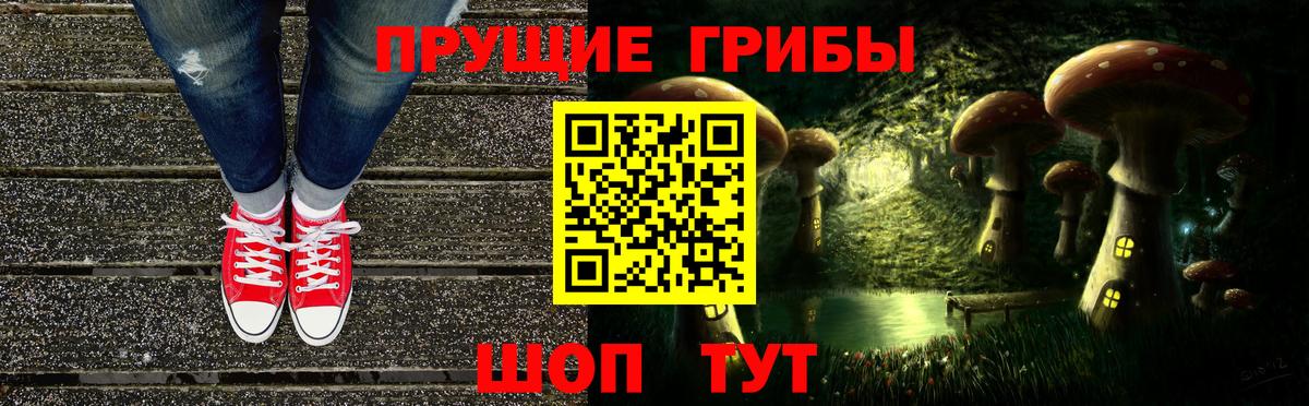 Псилоцибиновые грибы прущие грибы  купить наркоту  Долгопрудный  Вход с VPN 